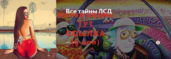 шишки Балахна