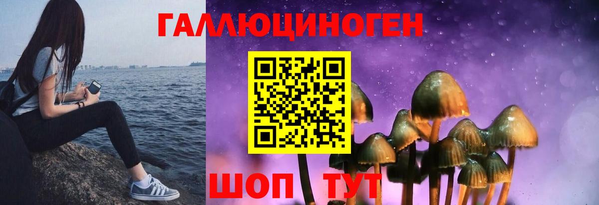 Галлюциногенные грибы Cubensis Белово